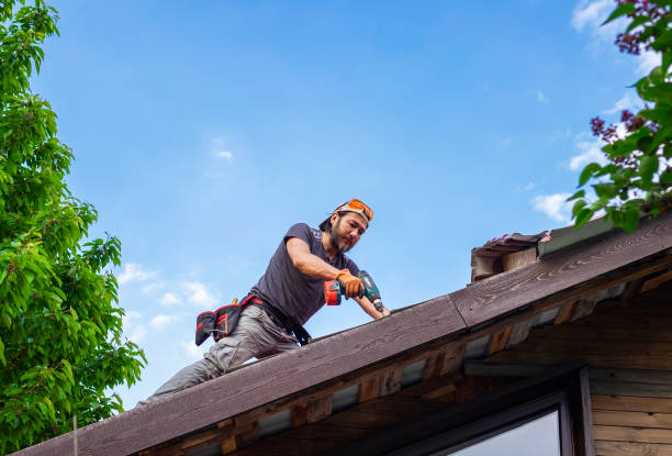 Best Metal Roofing Installation  in Lugoff, SC