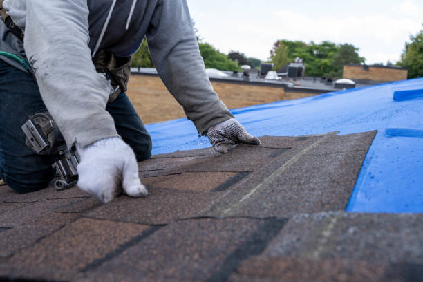 Roof Insulation in Lugoff, SC